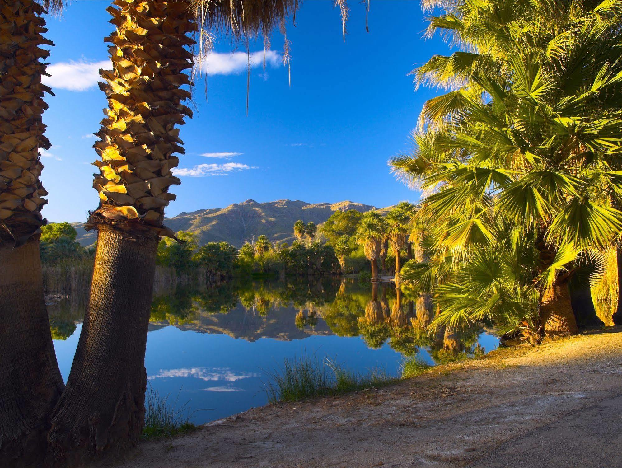 Raintree'S Cimarron Golf Resort Palm Springs كاثيدرال سيتي المظهر الخارجي الصورة
