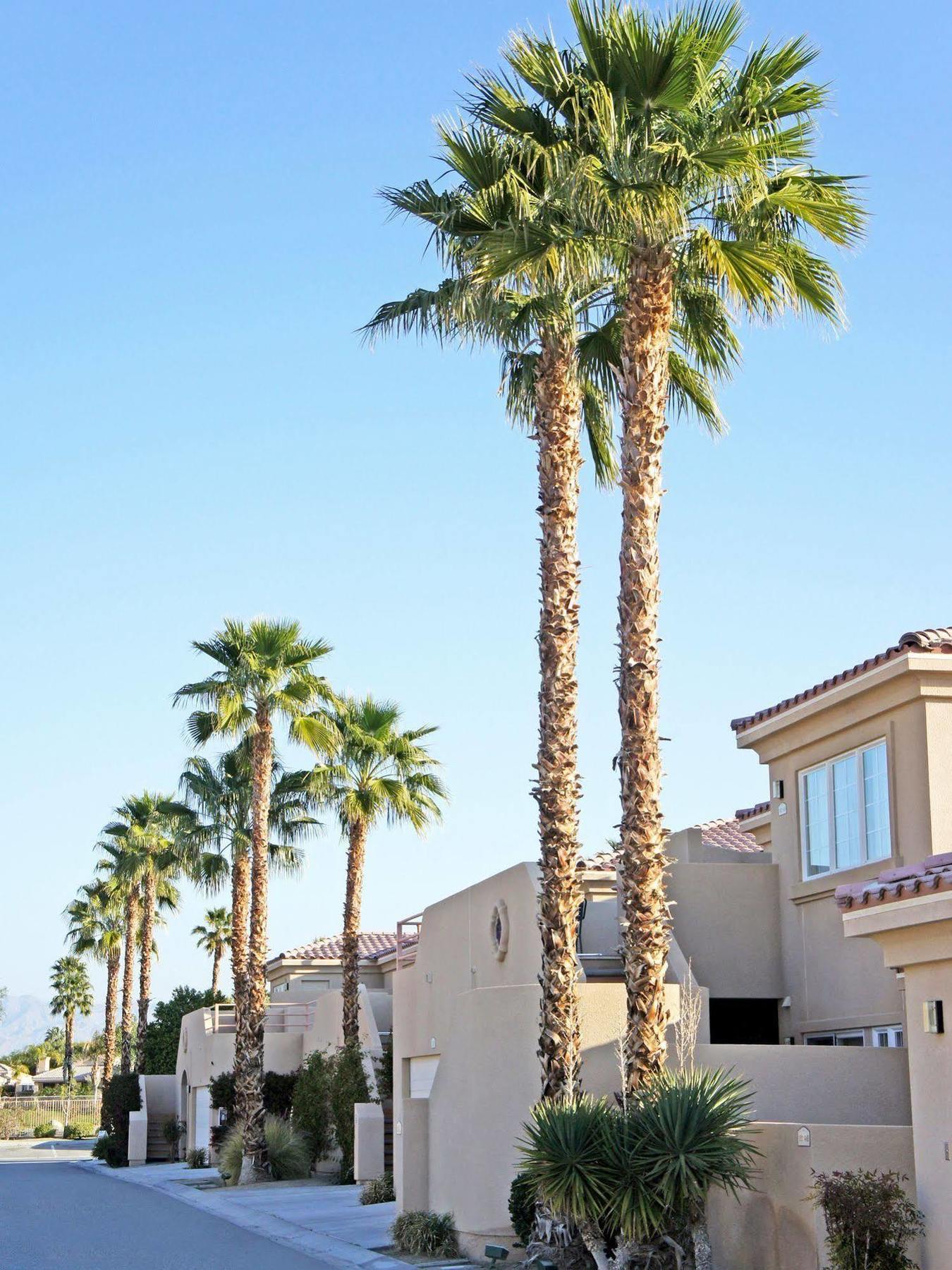 Raintree'S Cimarron Golf Resort Palm Springs كاثيدرال سيتي المظهر الخارجي الصورة